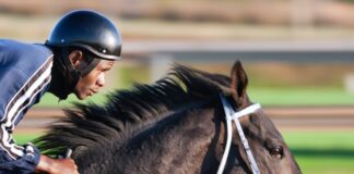 How to Handle Competitive Horseback Riding's Excitement